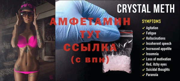 сатива Дмитровск