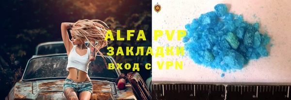 сатива Дмитровск