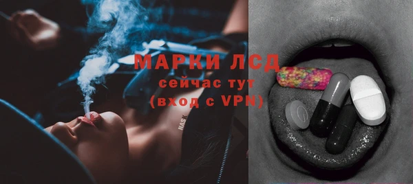 сатива Дмитровск
