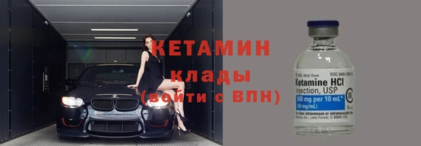 сатива Дмитровск