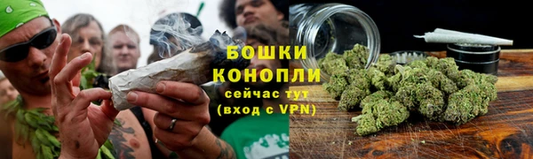 сатива Дмитровск